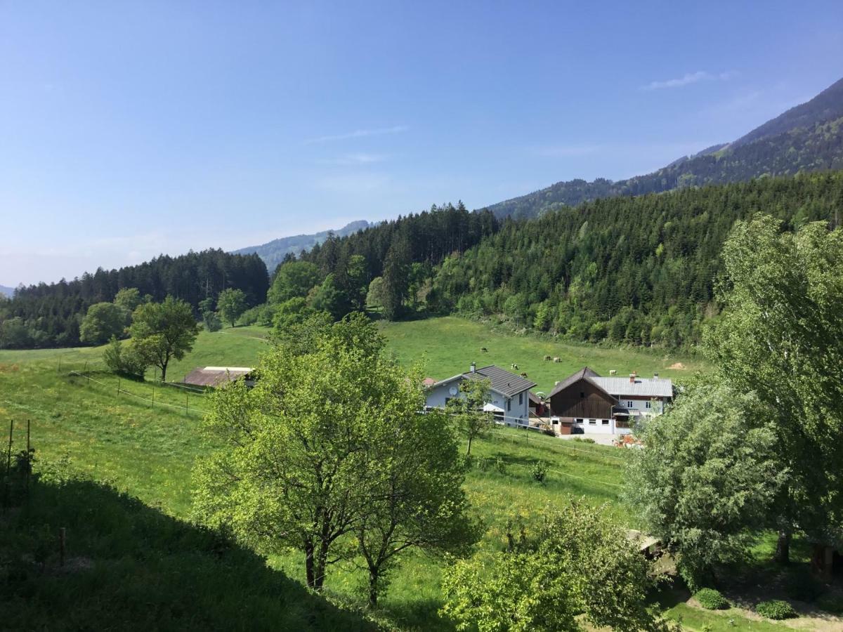 "Natur Pur" Ferienwohnung Mit Eigener Sauna Rons 외부 사진